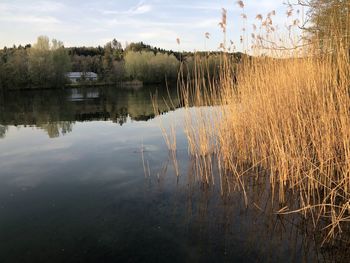 Scenic view of lake against sky