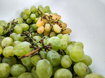 Close-up of grapes in bowl