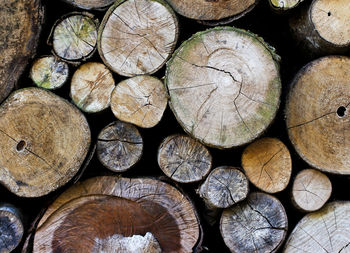 Full frame shot of logs in forest