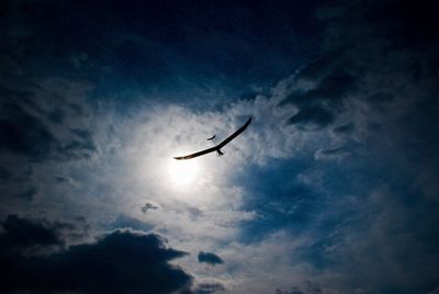 Low angle view of silhouette flying in sky