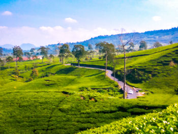 Scenic view of landscape against sky