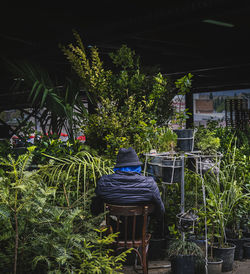 Rear view of man sitting on chair in yard