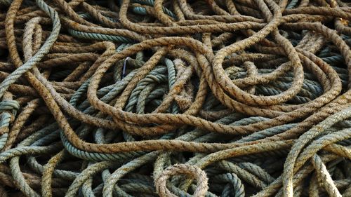 Close-up of rope