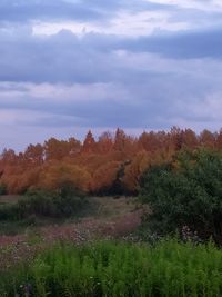 Trees on field against sky during autumn