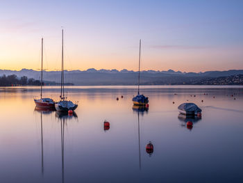 Sailboats moored in marina at sunset