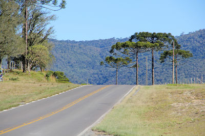 Road by trees on field against sky