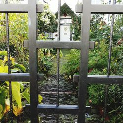 Close-up of gate in garden