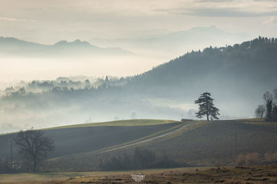 Scenic view of landscape against sky