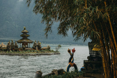 People at temple against trees