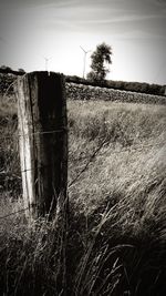 View of field against sky