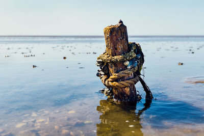 Driftwood on wooden post at beach against sky