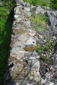 High angle view of moss growing on rocks in field