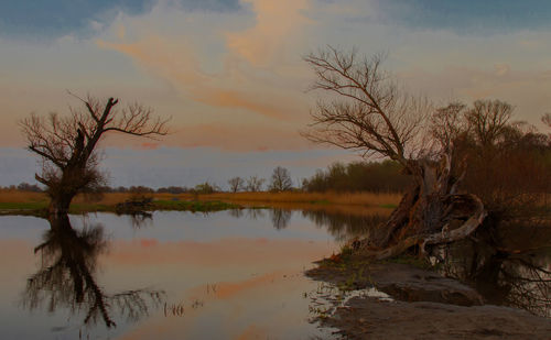 Bare tree by lake against sky during sunset