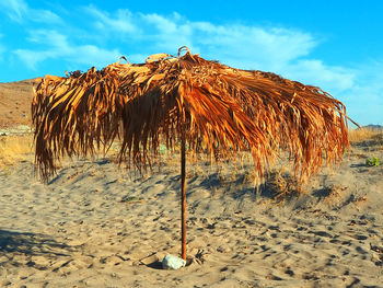 Panoramic view of parasol on beach against sky