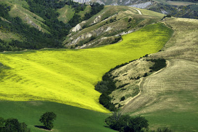 Scenic view of landscape