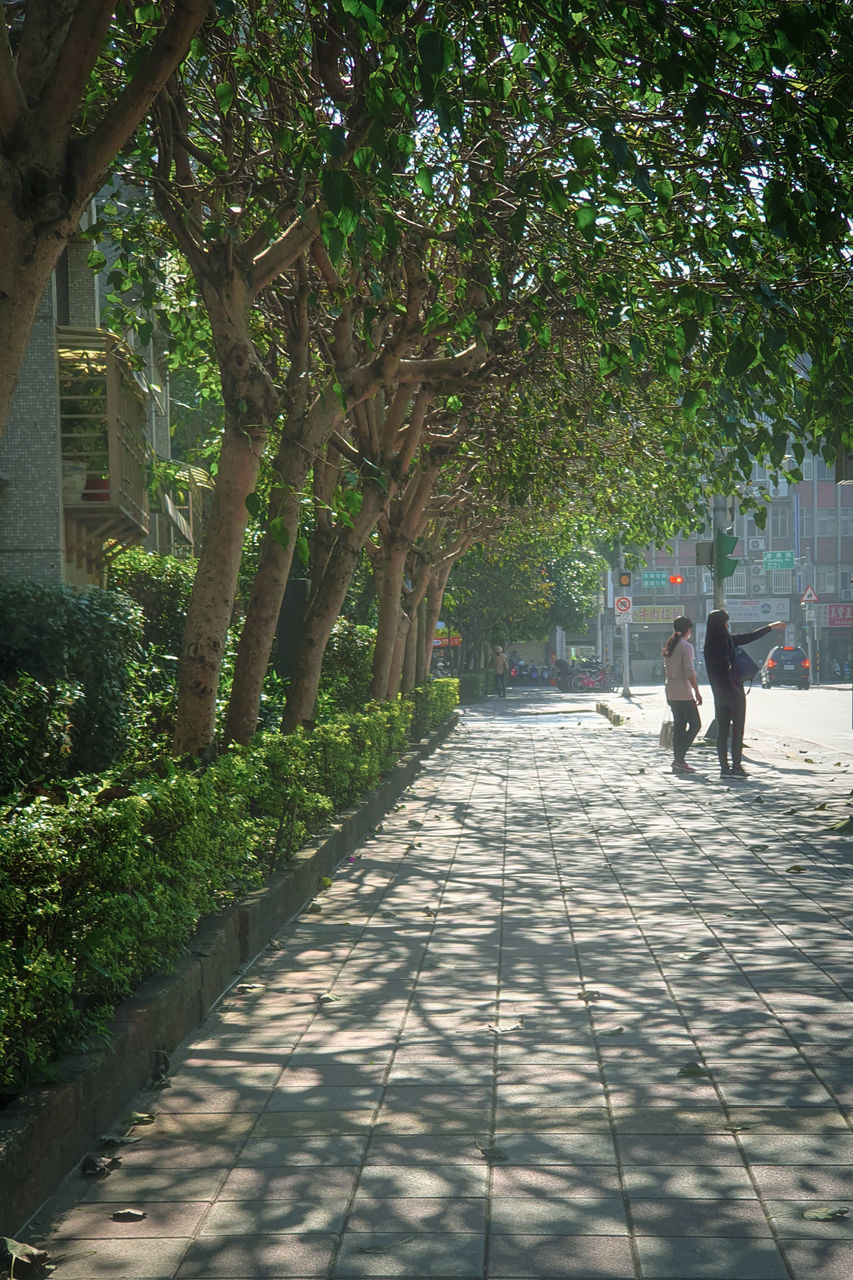 tree, plant, footpath, nature, walking, the way forward, men, women, architecture, day, growth, adult, city, two people, shadow, sunlight, full length, rear view, street, lifestyles, leaf, outdoors, green, park, leisure activity, walkway, park - man made space, togetherness, built structure, sidewalk, garden, transportation