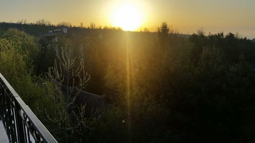 Scenic view of plants against sky during sunset