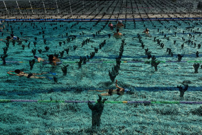 High angle view of people in water