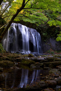 Scenic view of waterfall in forest