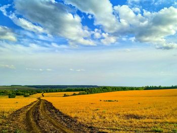 Scenic view of agricultural field against sky