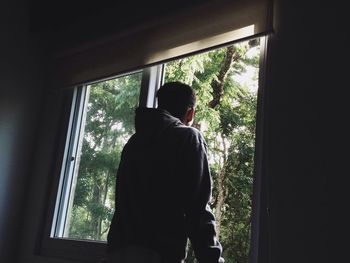 View of trees through window