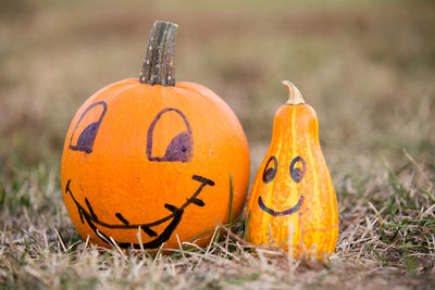 Close-up of pumpkin pumpkins during autumn