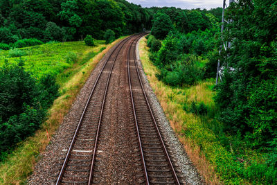 High angle view of railroad tracks amidst trees