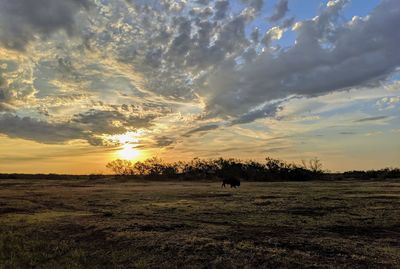 Scenic view of sunset over land