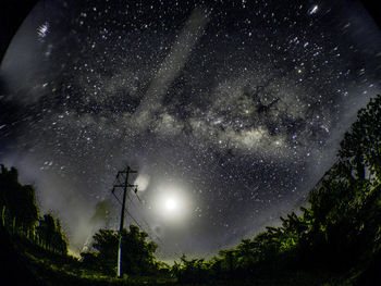 Low angle view of trees against sky at night