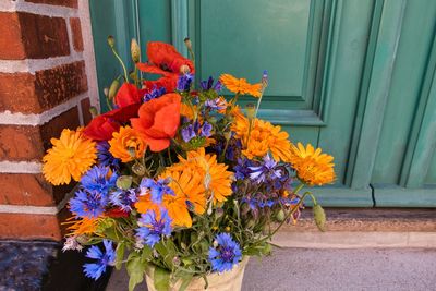 Close-up of multi colored flower pot