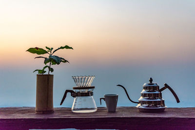 Potted plant in vase on table