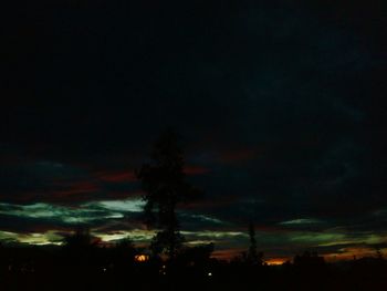 Silhouette trees against sky at night