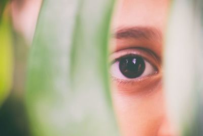 Close-up portrait of woman eye