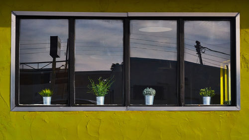 Reflection of building on glass window