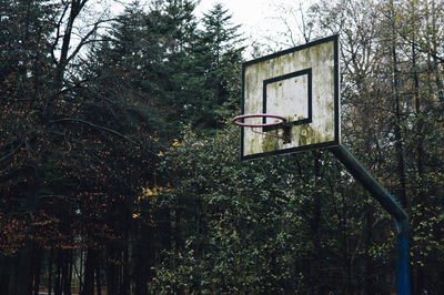 Basketball hoop with trees in background