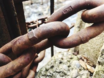 Close-up of human hand on rock