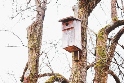 Low angle view of birdhouse hanging by tree against sky