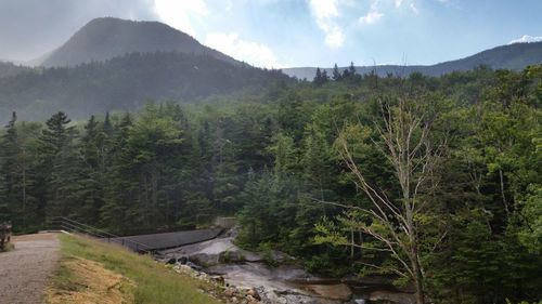Scenic view of mountains