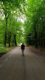 Rear view of man walking on road amidst trees