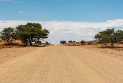 Dirt road amidst trees against sky