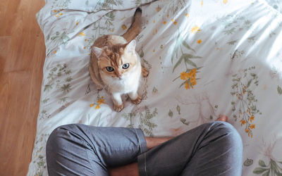 Midsection of person with cat on bed at home