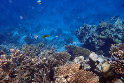 underwater