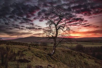 Scenic view of field against dramatic sky