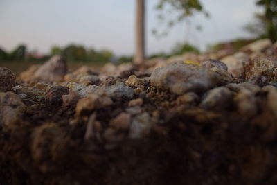 Surface level of stones on ground