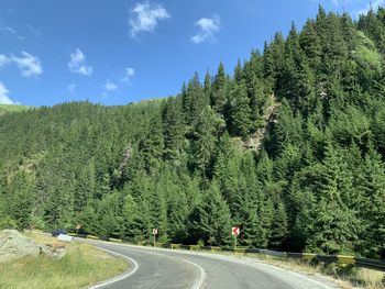 Road amidst trees in forest against sky