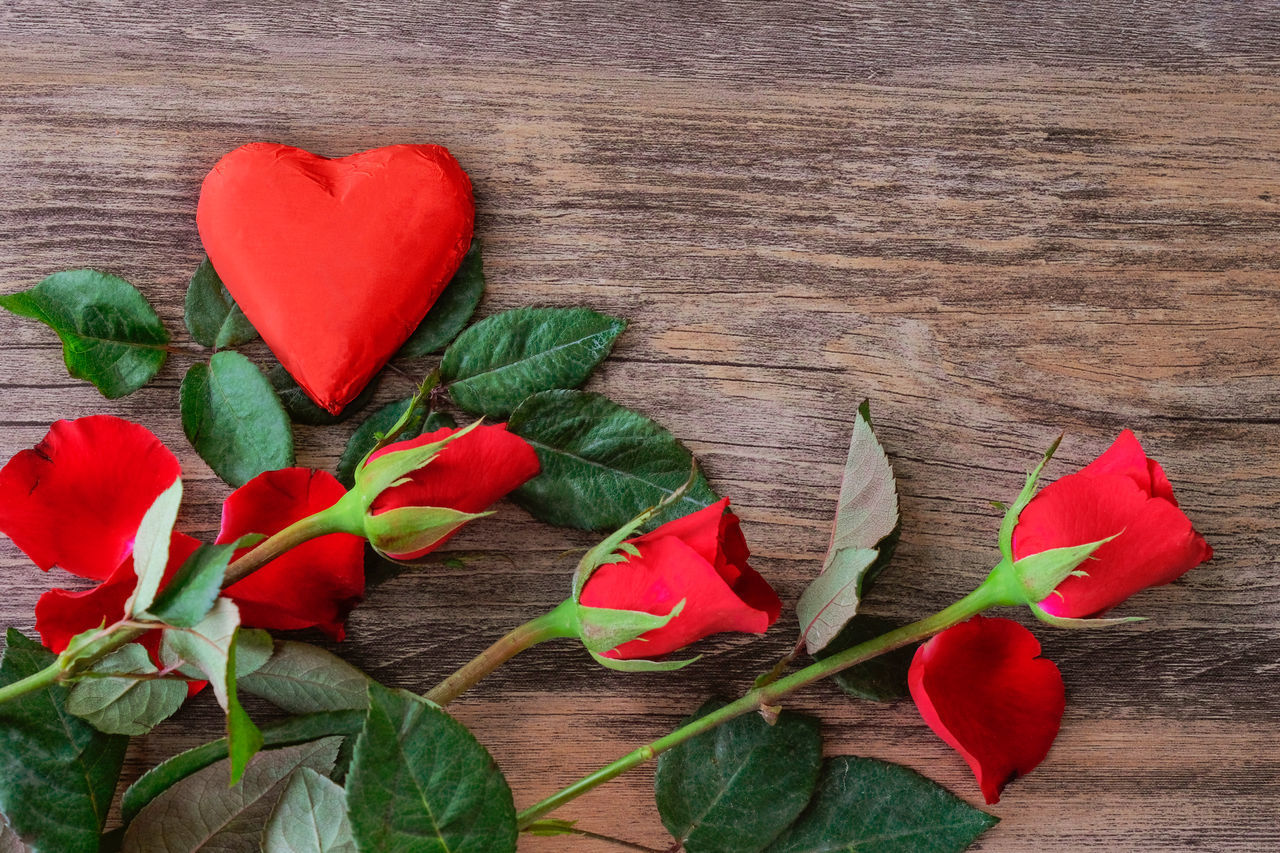 CLOSE-UP OF RED ROSE ON TABLE