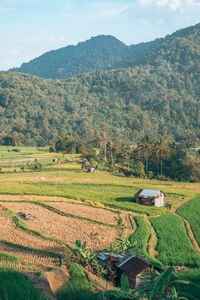 Scenic view of agricultural field against mountain