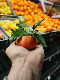 Cropped image of hand holding orange fruits at market stall