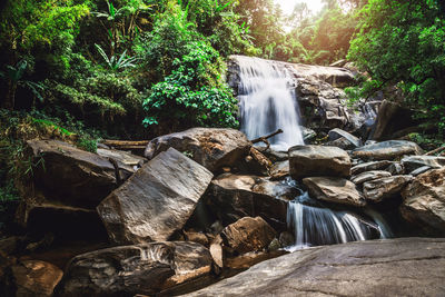 Waterfall in forest