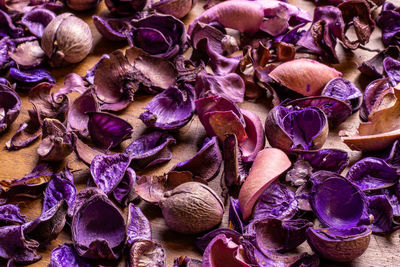 Full frame shot of purple flowers